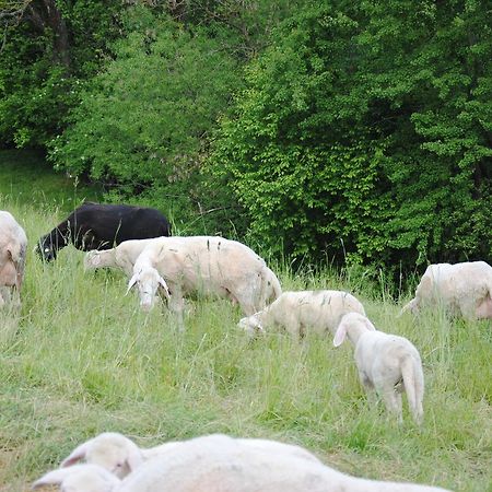 Landgasthof Seyrlberg Reichenau im Mühlkreis Zewnętrze zdjęcie