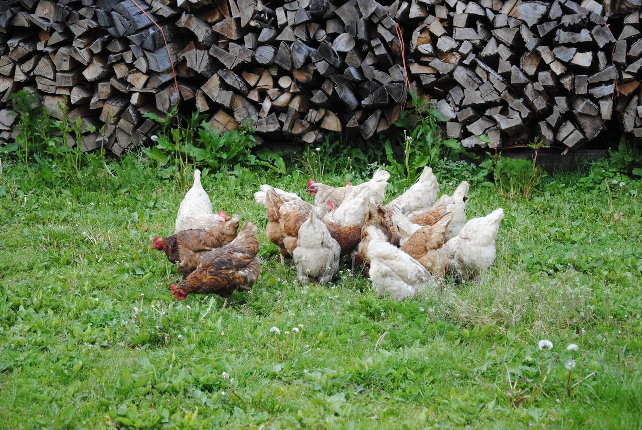 Landgasthof Seyrlberg Reichenau im Mühlkreis Zewnętrze zdjęcie