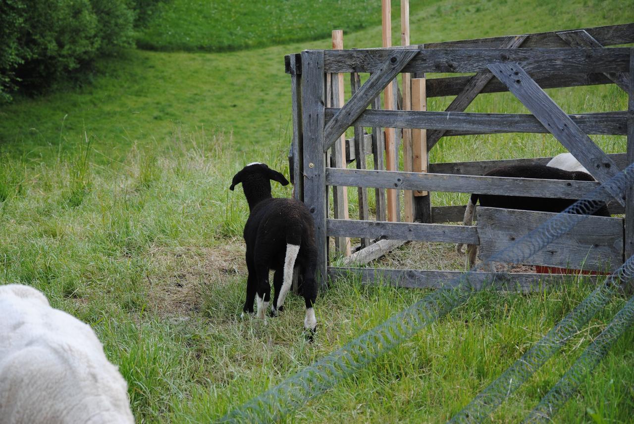 Landgasthof Seyrlberg Reichenau im Mühlkreis Zewnętrze zdjęcie